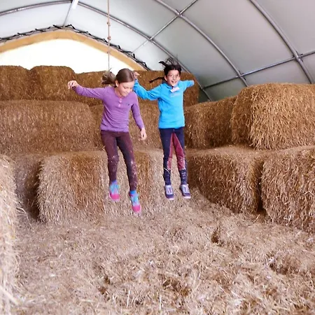 Luxuswellnesshaus Krabbe *