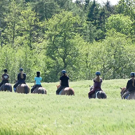 Luxuswellnesshaus Krabbe